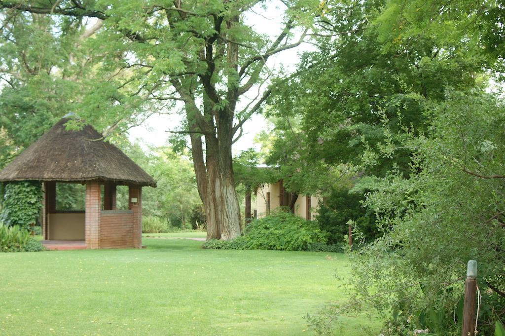 The Willows Guesthouse Bloemfontein Ngoại thất bức ảnh