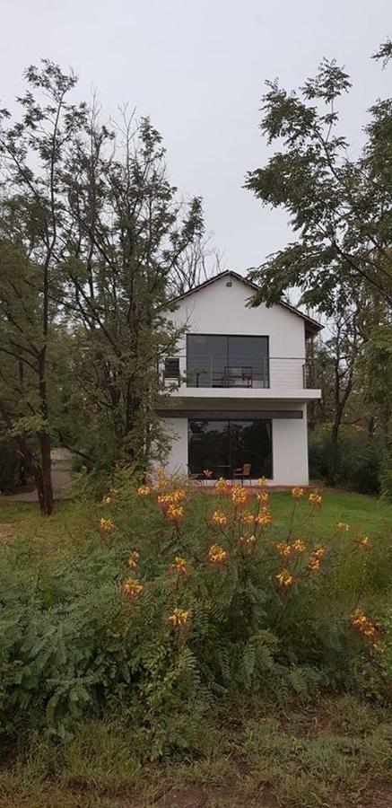 The Willows Guesthouse Bloemfontein Ngoại thất bức ảnh